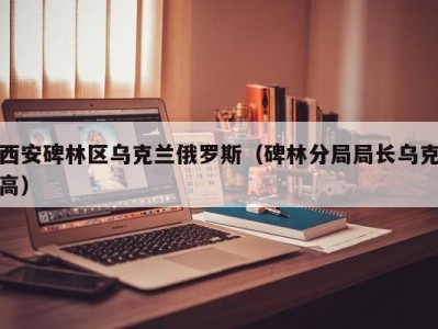 西安碑林区乌克兰俄罗斯（碑林分局局长乌克高）