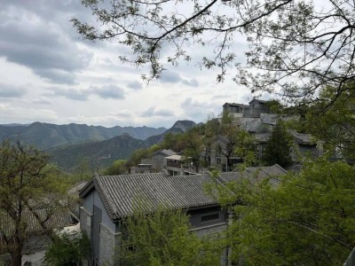 北京国内旅游民宿产业发展现状及发展趋势分析