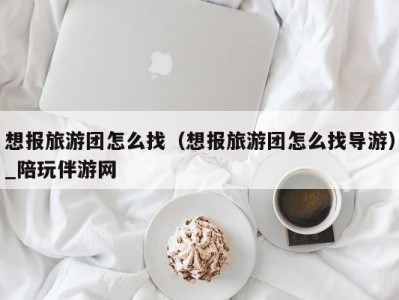 想报旅游团怎么找（想报旅游团怎么找导游）_陪玩伴游网