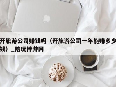 开旅游公司赚钱吗（开旅游公司一年能赚多少钱）_陪玩伴游网