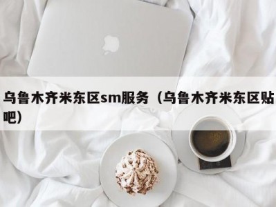 乌鲁木齐米东区sm服务（乌鲁木齐米东区贴吧）