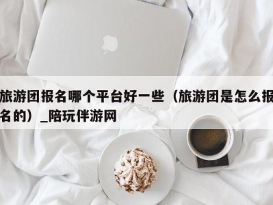 旅游团报名哪个平台好一些（旅游团是怎么报名的）_陪玩伴游网